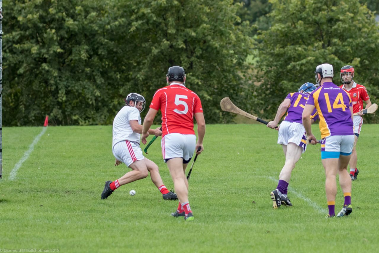 Senior B Championship Match Kilmacud Crokes v St Pats.