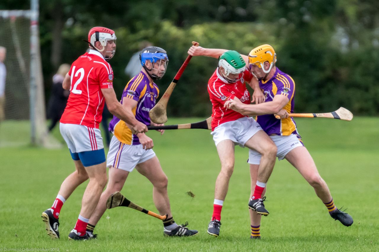 Senior B Championship Match Kilmacud Crokes v St Pats.