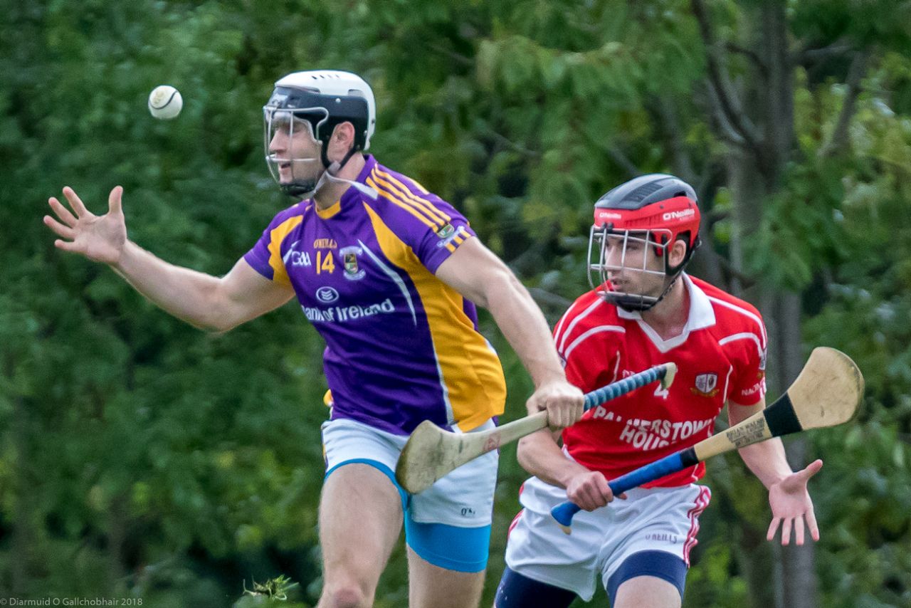 Senior B Championship Match Kilmacud Crokes v St Pats.