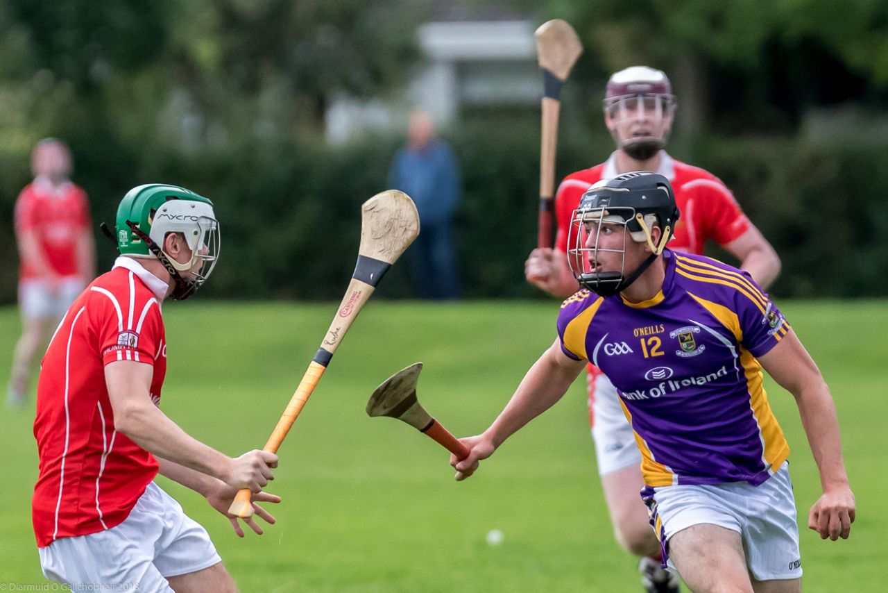 Senior B Championship Match Kilmacud Crokes v St Pats.