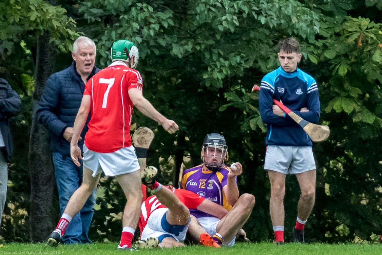 Senior B Championship Match Kilmacud Crokes v St Pats.