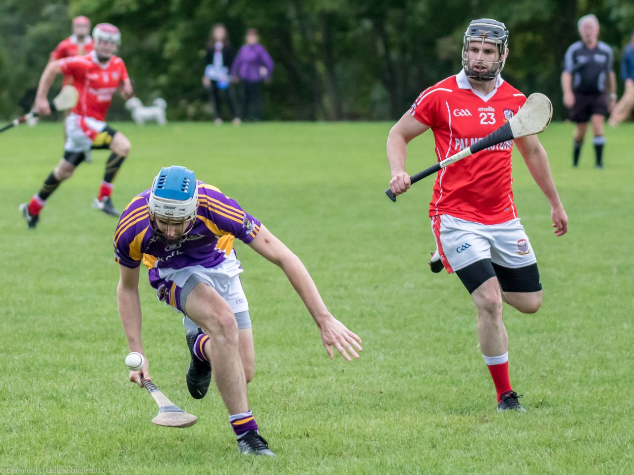 Senior B Championship Match Kilmacud Crokes v St Pats.