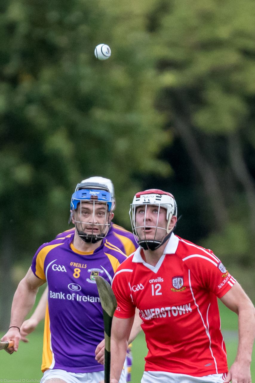 Senior B Championship Match Kilmacud Crokes v St Pats.