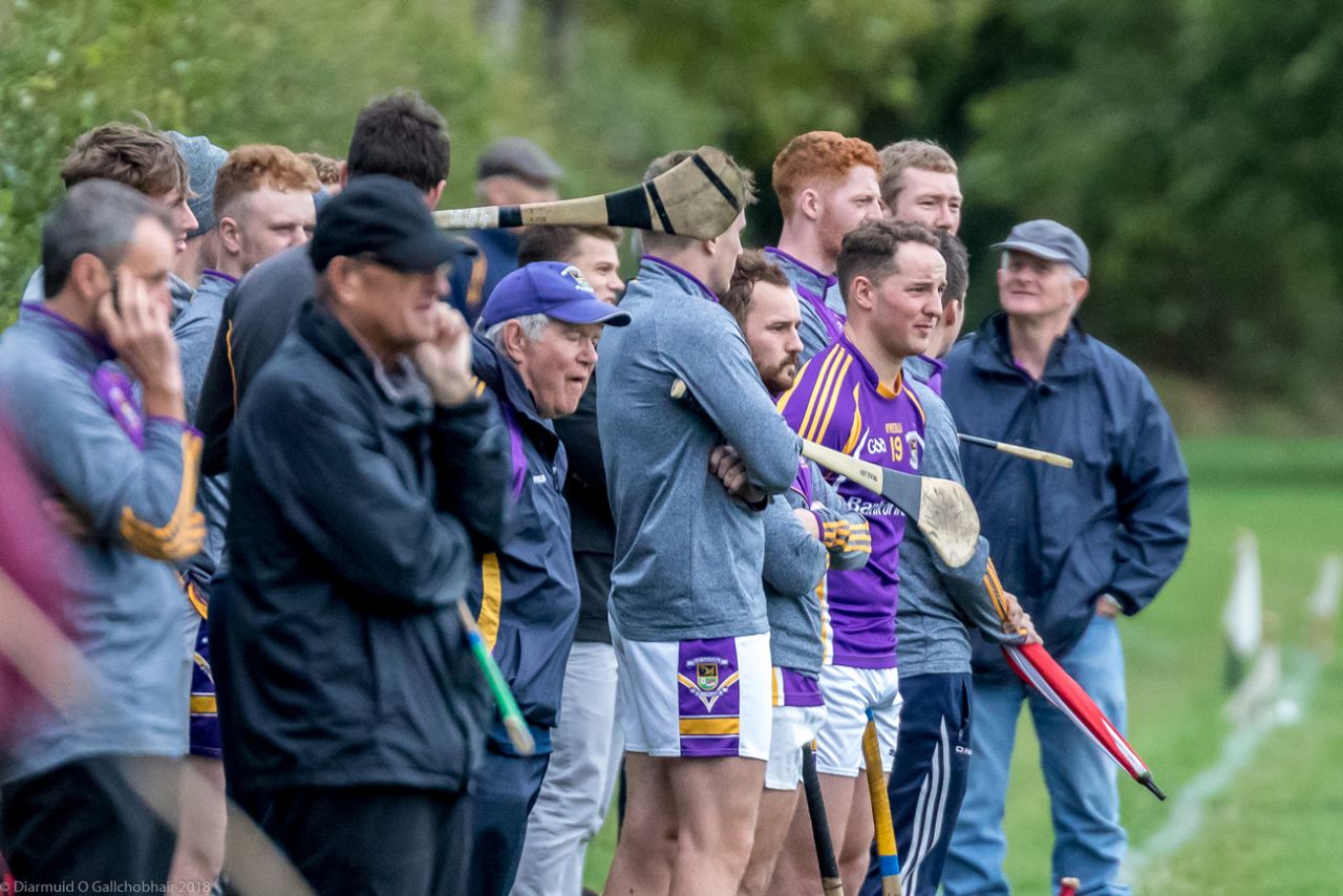 Senior B Championship Match Kilmacud Crokes v St Pats.