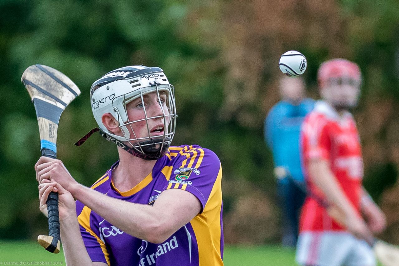 Senior B Championship Match Kilmacud Crokes v St Pats.