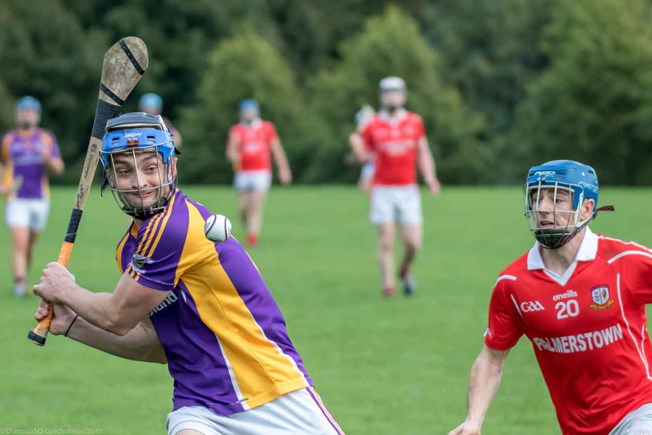 Senior B Championship Match Kilmacud Crokes v St Pats.