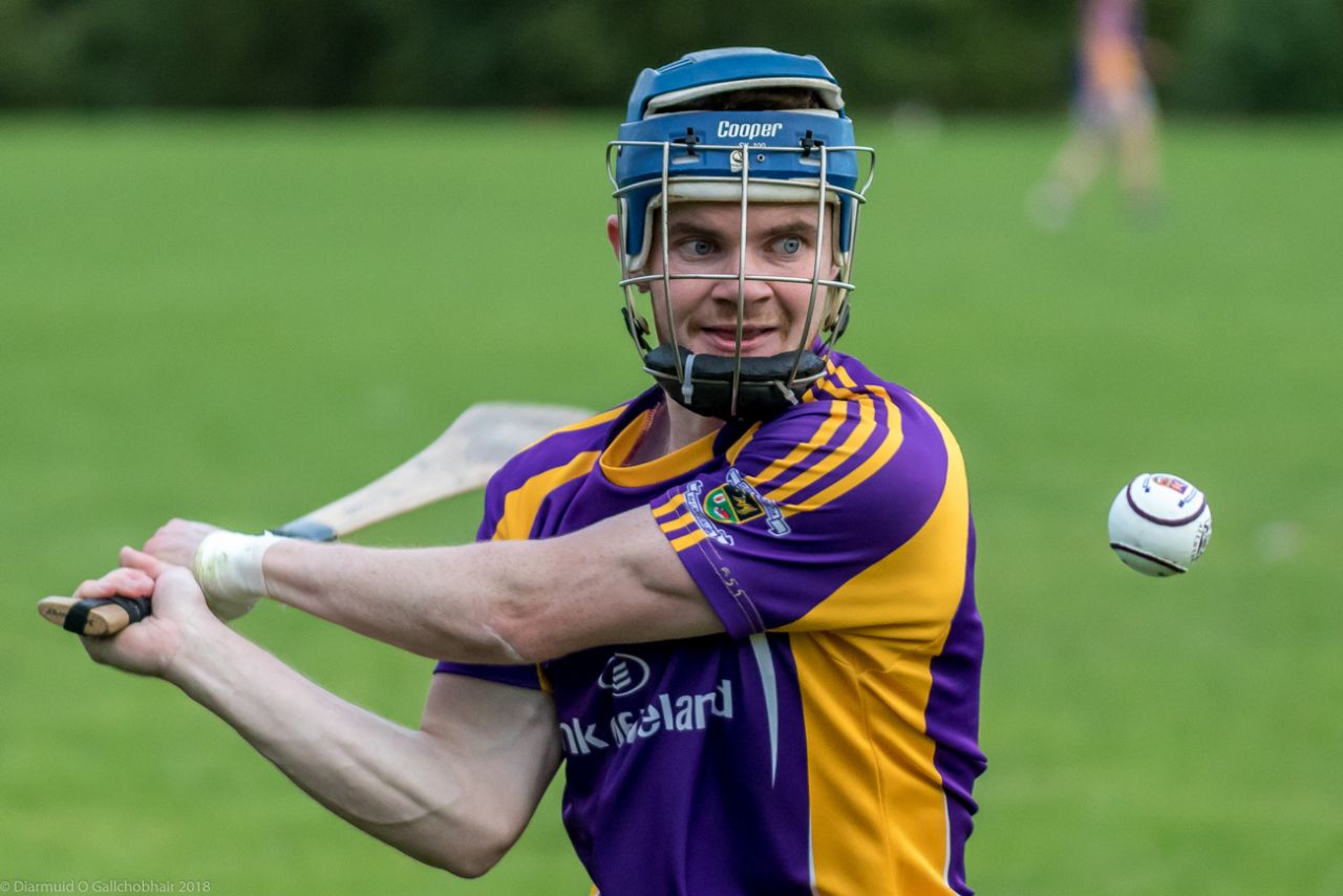 Senior B Championship Match Kilmacud Crokes v St Pats.