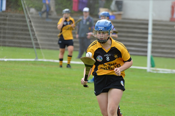 All Ireland Camogie 7's