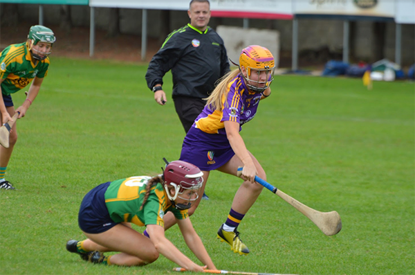 All Ireland Camogie 7's