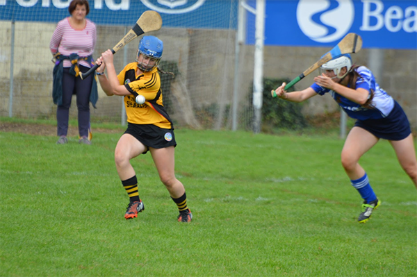 All Ireland Camogie 7's