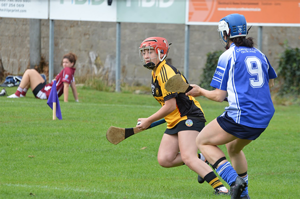 All Ireland Camogie 7's