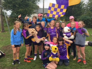 Passage West 2018 - U8 & U10 Ladies Football Blitz