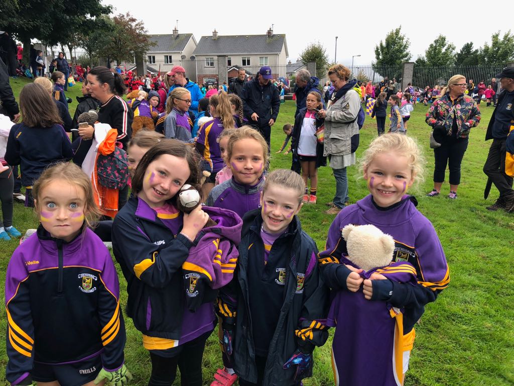 Passage West 2018 - U8 & U10 Ladies Football Blitz