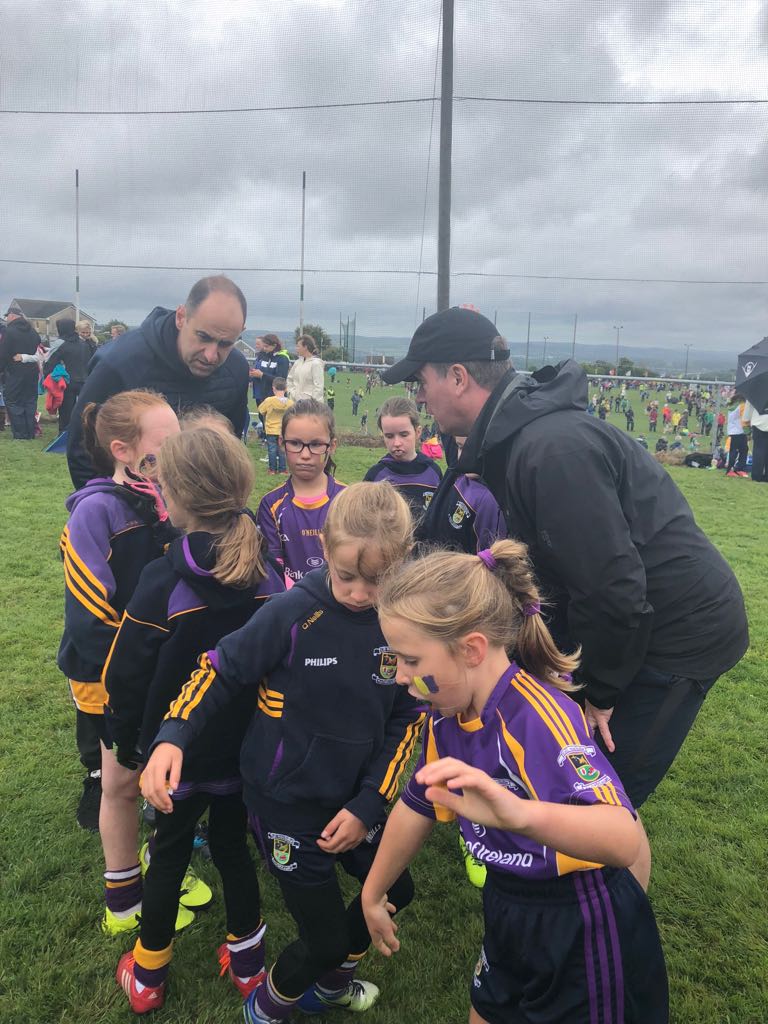 Passage West 2018 - U8 & U10 Ladies Football Blitz