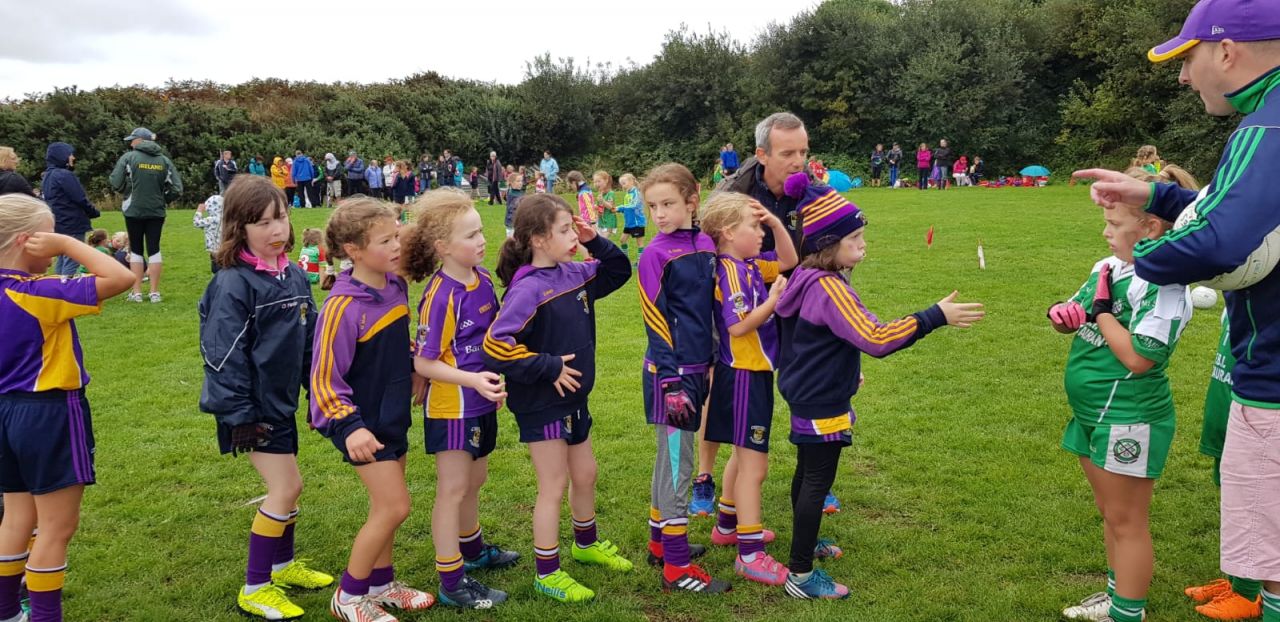 Passage West 2018 - U8 & U10 Ladies Football Blitz