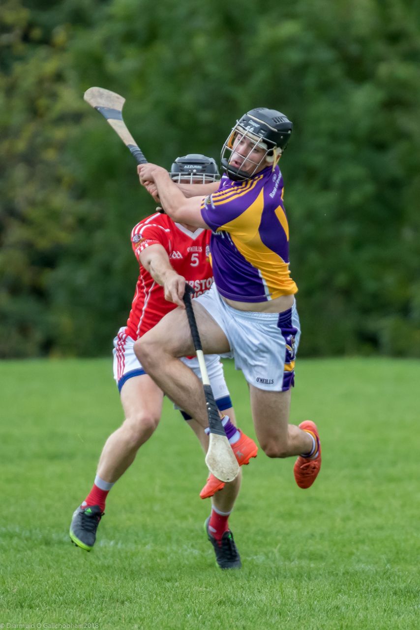 Senior Bs pipped by St Pats - Championship still alive