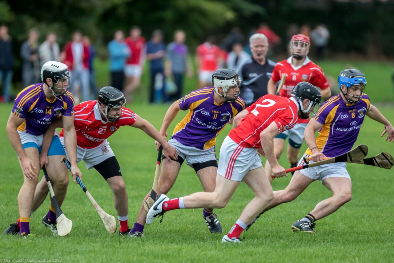 Senior Bs pipped by St Pats - Championship still alive