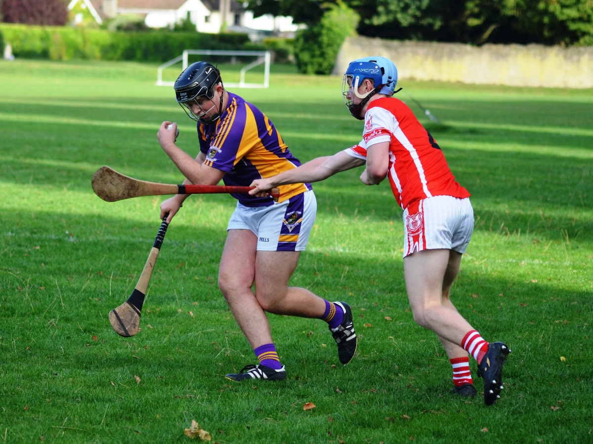 Intermediate Hurling Championship - Loss by 2 points to Cuala.