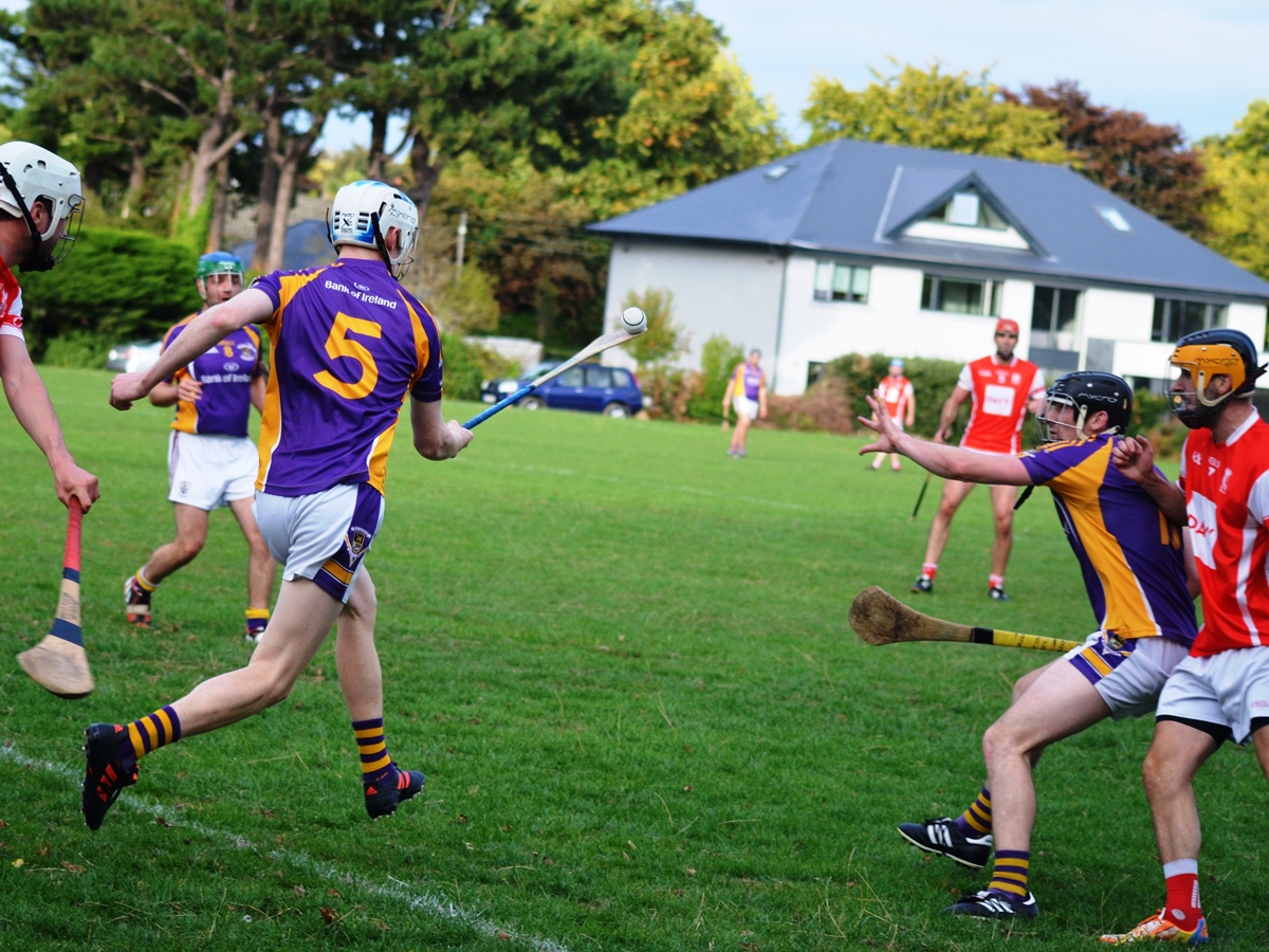 Intermediate Hurling Championship - Loss by 2 points to Cuala.