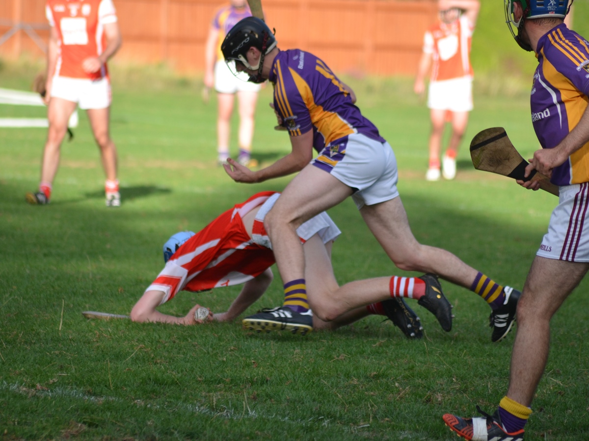 Intermediate Hurling Championship - Loss by 2 points to Cuala.