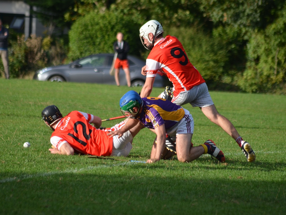 Intermediate Hurling Championship - Loss by 2 points to Cuala.