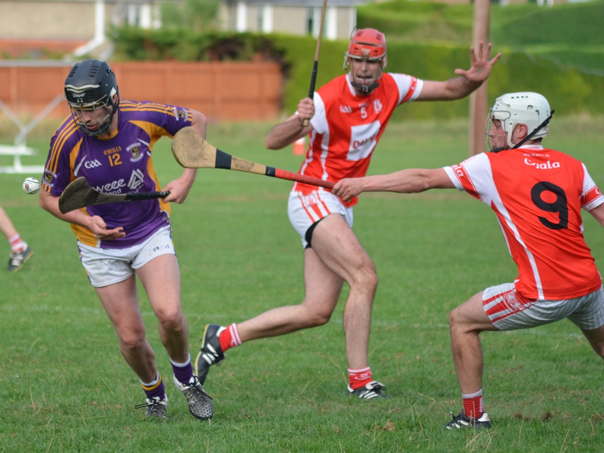 Intermediate Hurling Championship - Loss by 2 points to Cuala.