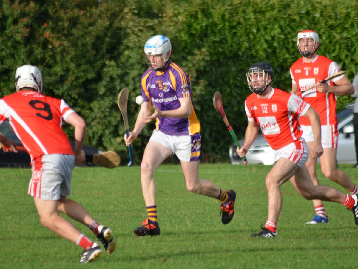 Intermediate Hurling Championship - Loss by 2 points to Cuala.