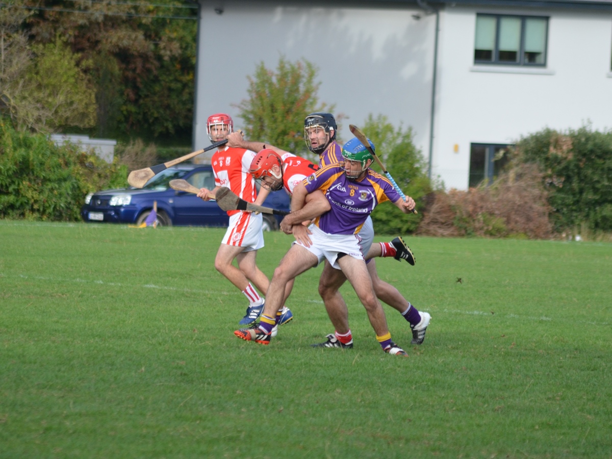 Intermediate Hurling Championship - Loss by 2 points to Cuala.