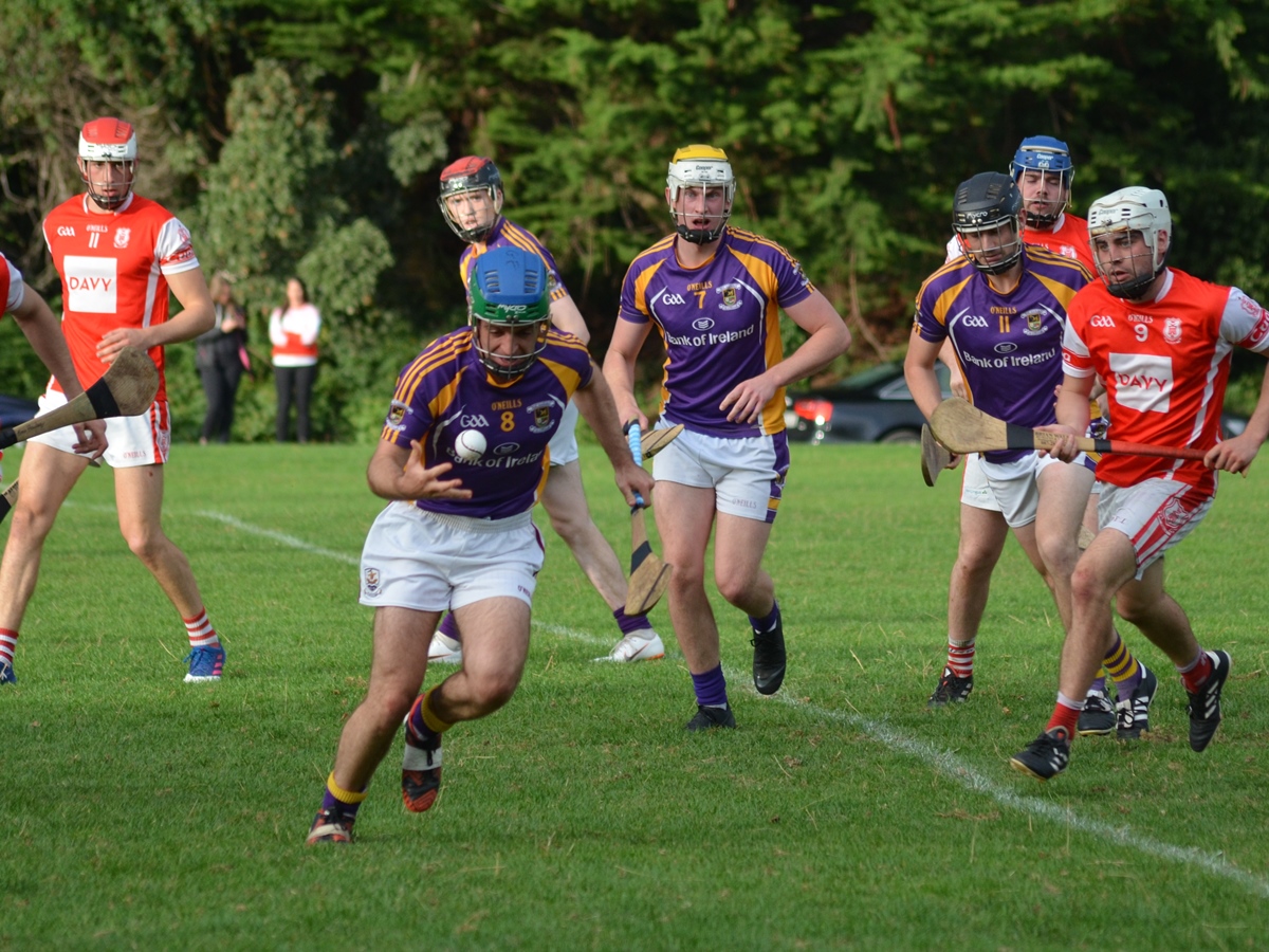 Intermediate Hurling Championship - Loss by 2 points to Cuala.