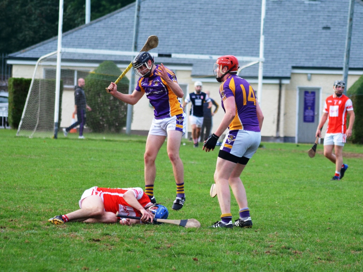 Intermediate Hurling Championship - Loss by 2 points to Cuala.