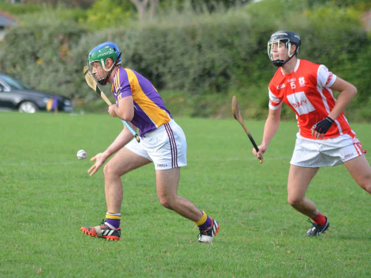 Intermediate Hurling Championship - Loss by 2 points to Cuala.