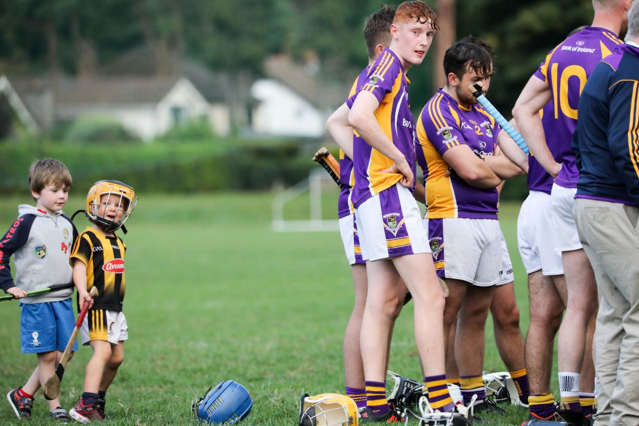 Intermediate Hurling Championship - Loss by 2 points to Cuala.