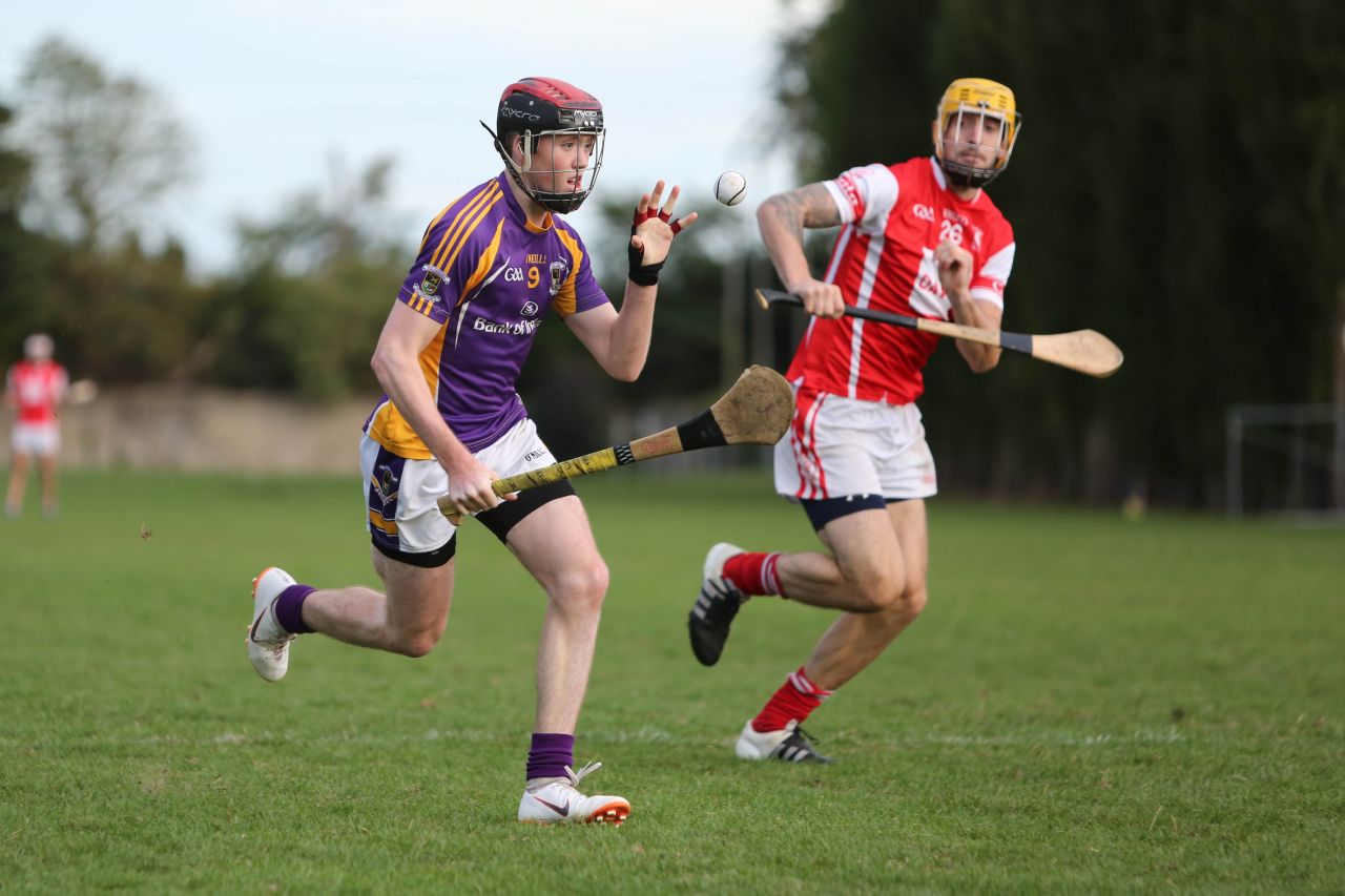 Intermediate Hurling Championship - Loss by 2 points to Cuala.