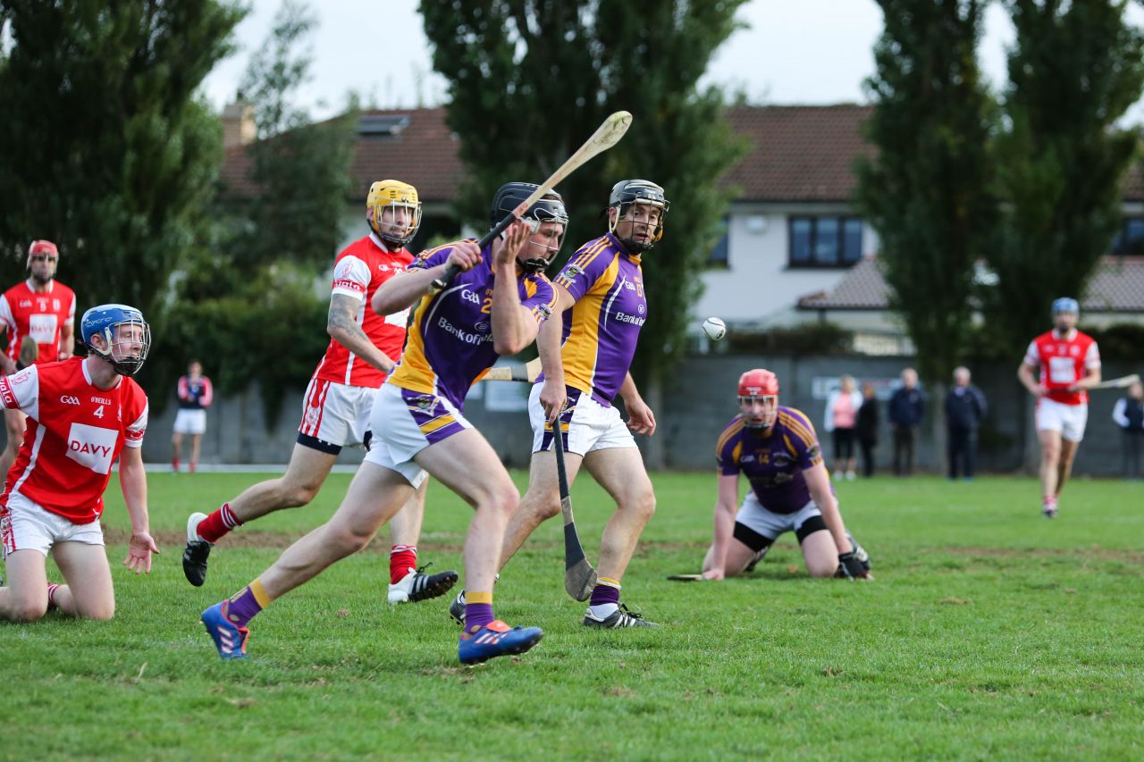 Intermediate Hurling Championship - Loss by 2 points to Cuala.