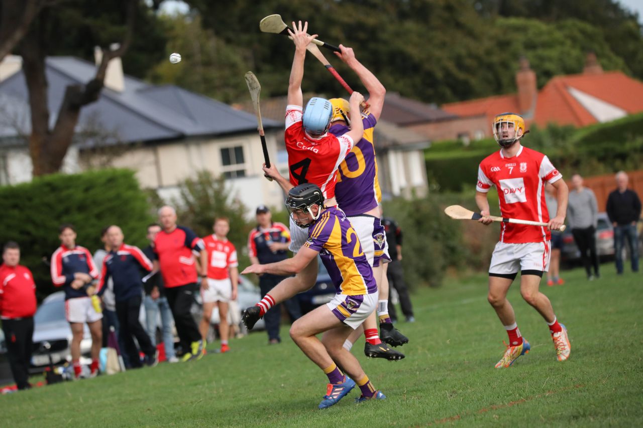 Intermediate Hurling Championship - Loss by 2 points to Cuala.