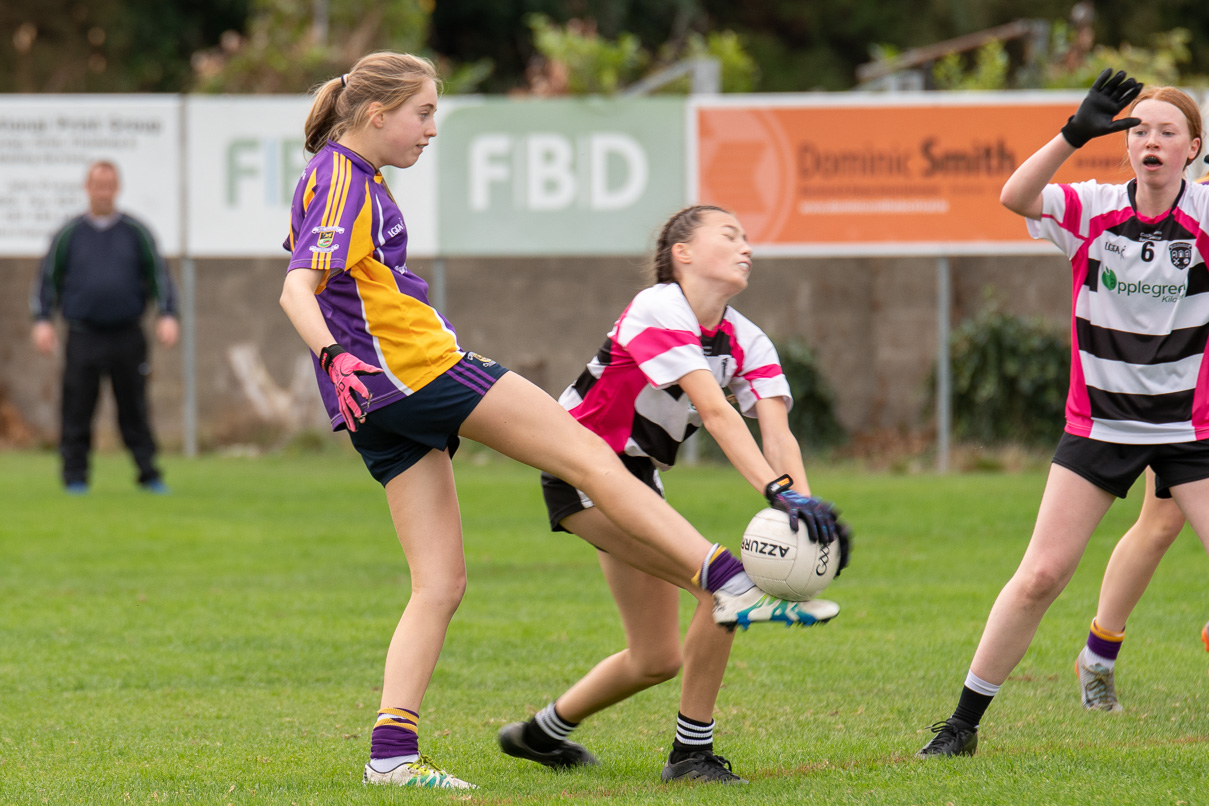 Chill Kilmacud Crokes Ladies Football All Ireland7's Saturday Sept 15th