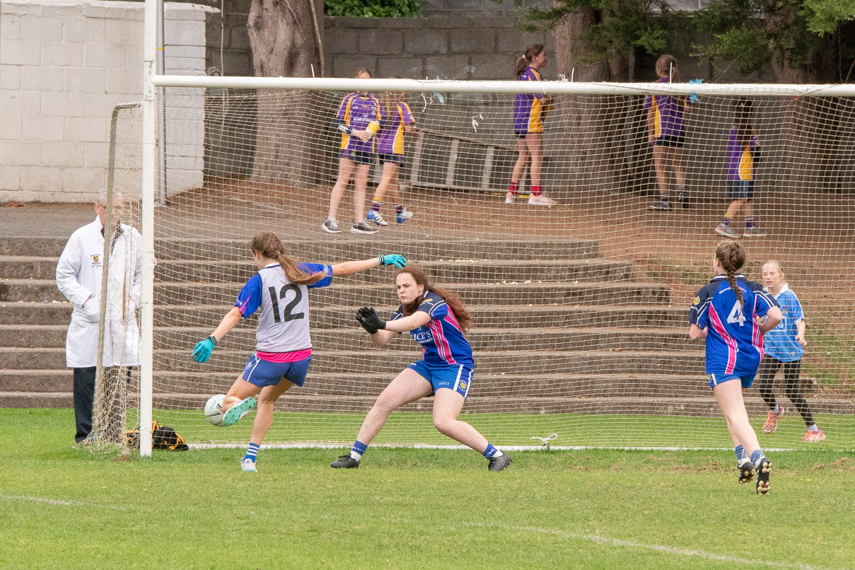 Chill Kilmacud Crokes Ladies Football All Ireland7's Saturday Sept 15th