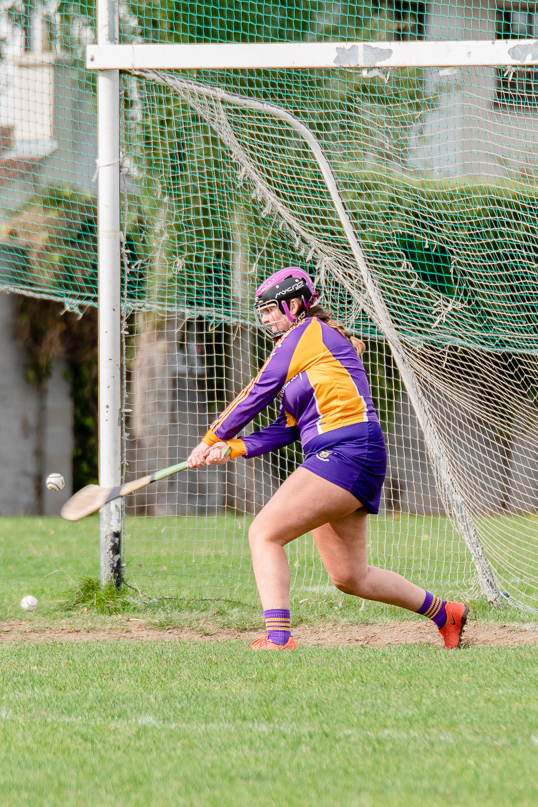 Snr Camogie Team Win Over Erin's Isle