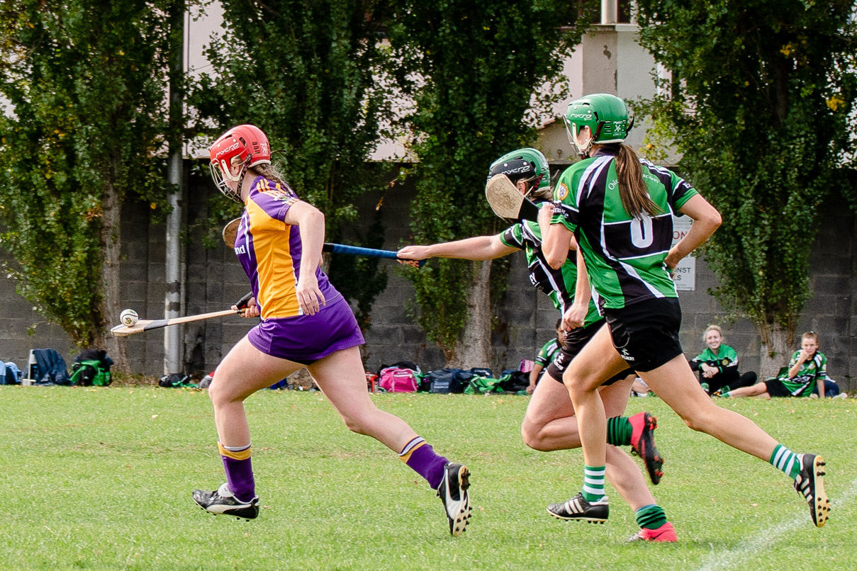 Snr Camogie Team Win Over Erin's Isle