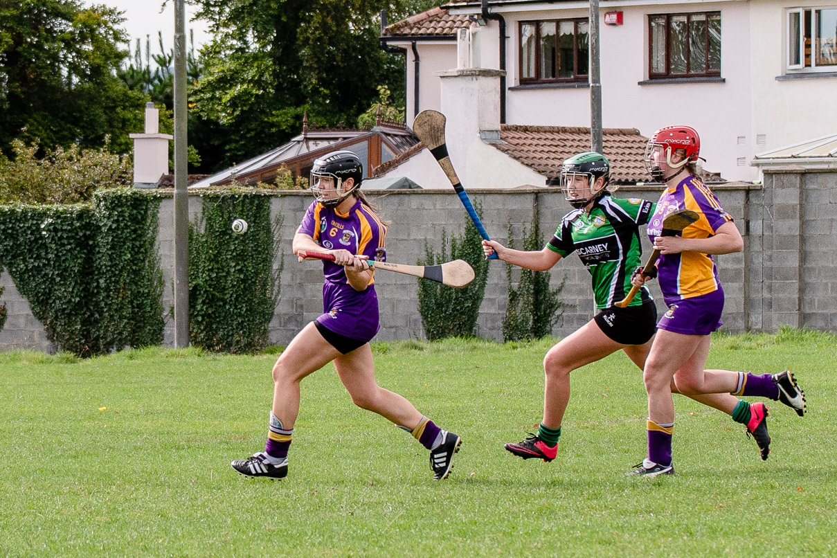 Snr Camogie Team Win Over Erin's Isle