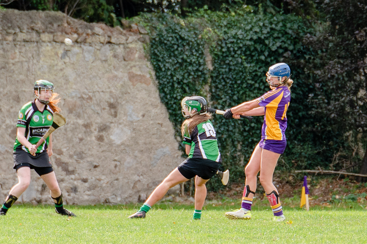 Snr Camogie Team Win Over Erin's Isle