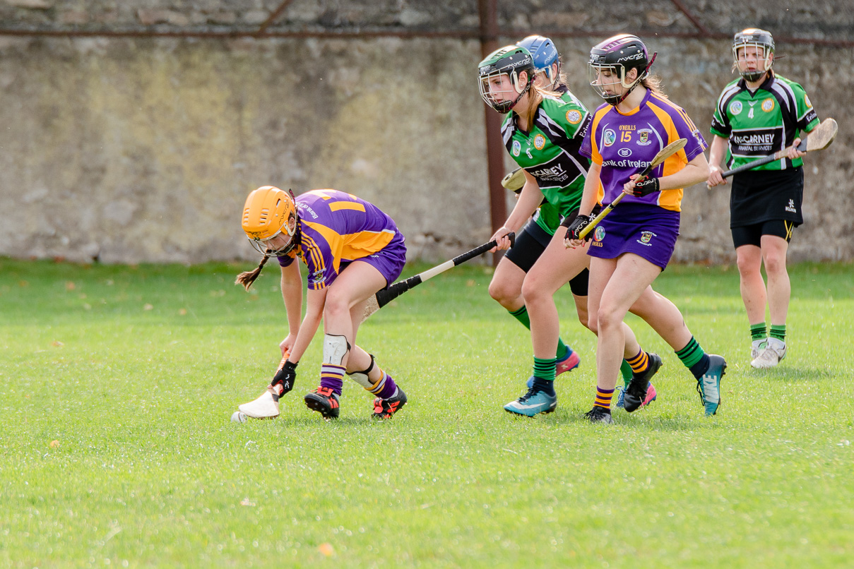 Snr Camogie Team Win Over Erin's Isle