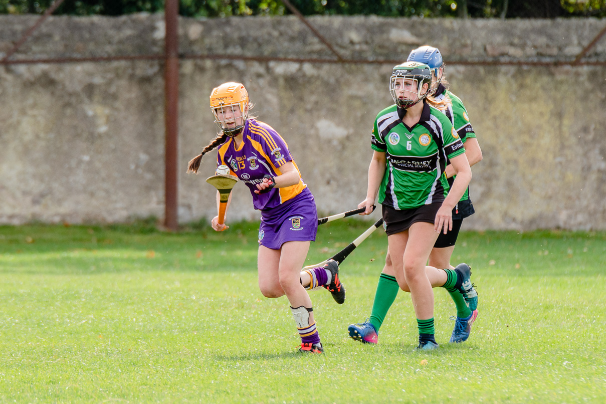 Snr Camogie Team Win Over Erin's Isle