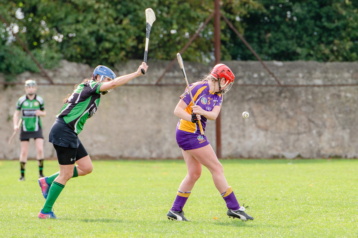 Snr Camogie Team Win Over Erin's Isle