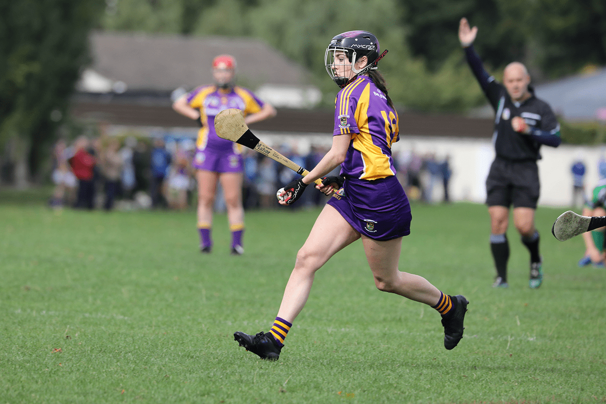 Snr Camogie Team Win Over Erin's Isle