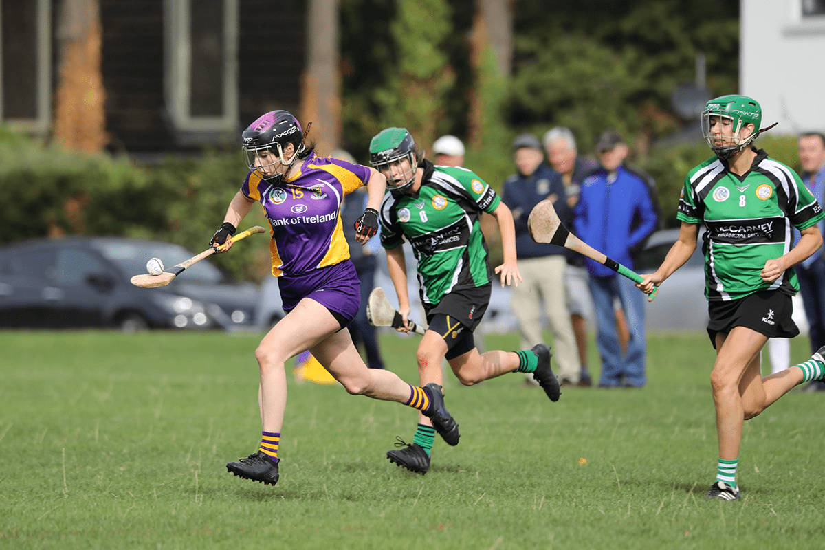 Snr Camogie Team Win Over Erin's Isle