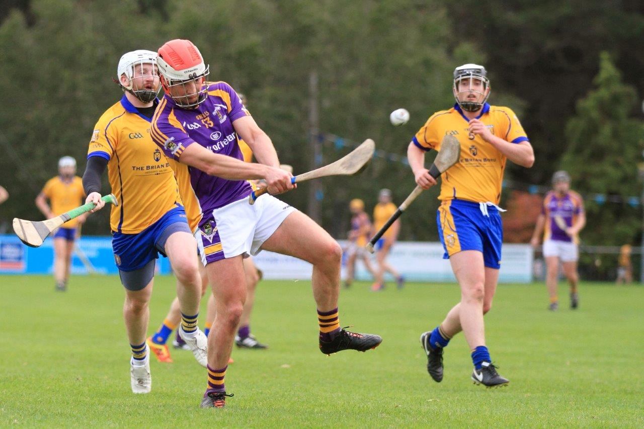 Senior B Hurlers reach Semi Final of the Championship