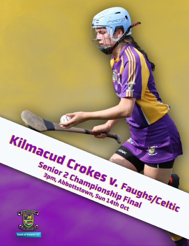 Good Luck Senior Camogie Team