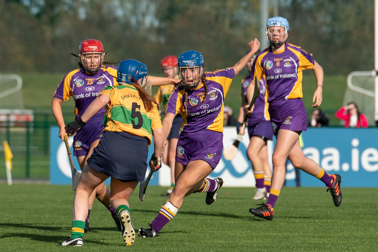 Senior 2 Camoige Championship Final Faughs/Celtic Versus Kilmacud Crokes Sunday October 14th