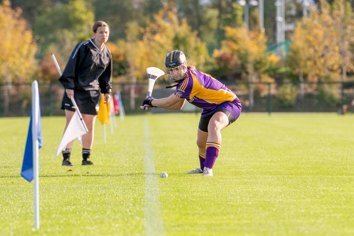 Senior 2 Camoige Championship Final Faughs/Celtic Versus Kilmacud Crokes Sunday October 14th